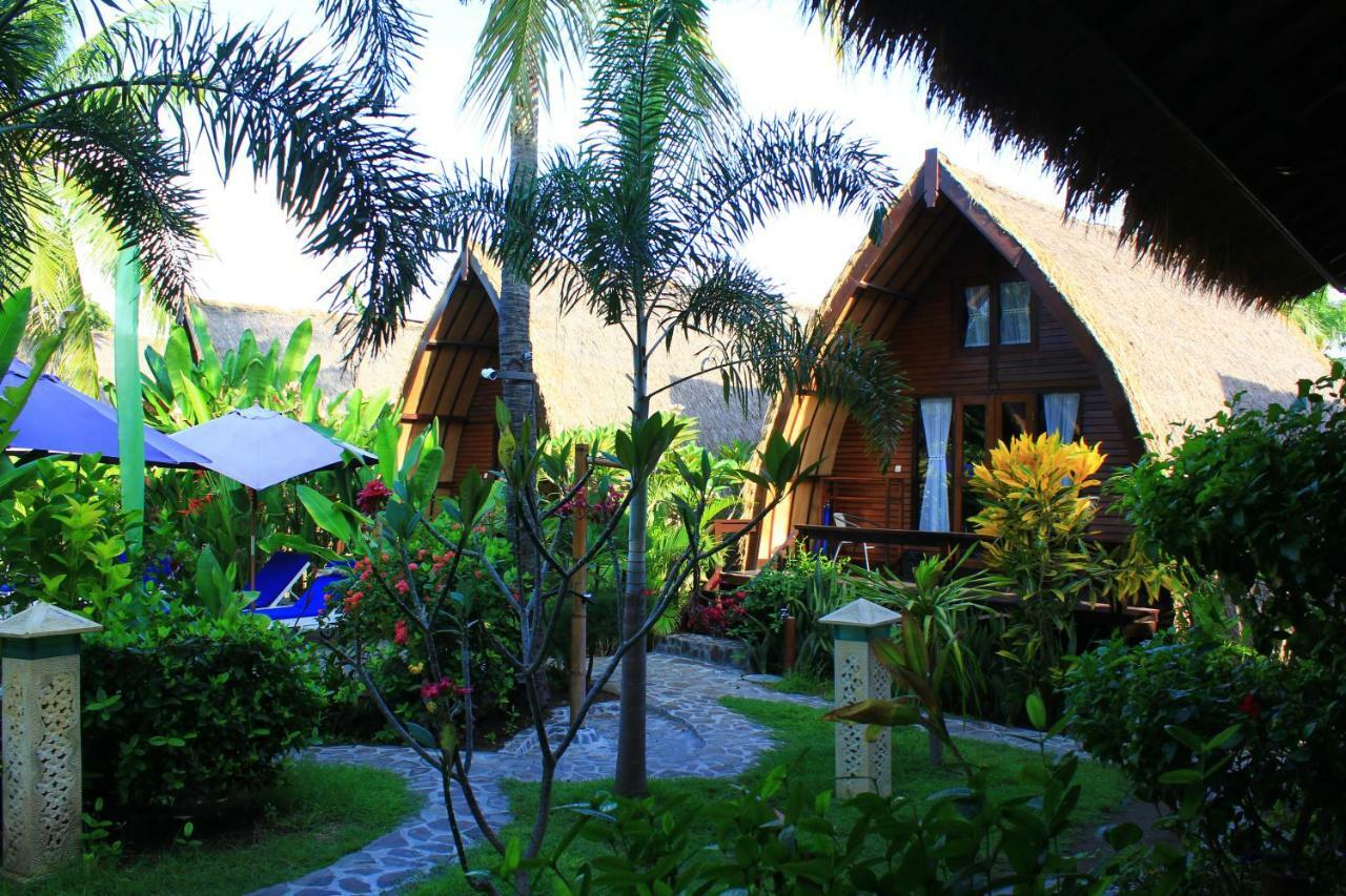 Turtle Hotel 3*